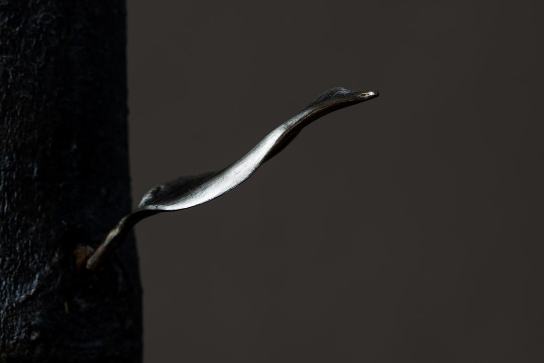 ancient dutch silver spoon